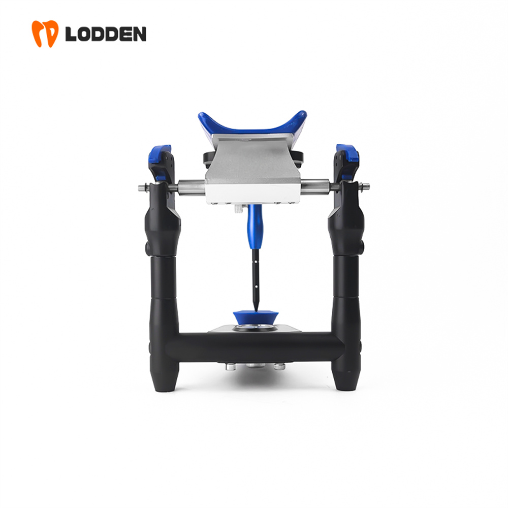 Medical Lab Values - LODDEN BN Waarde Articulator Miniatuur Basisunit